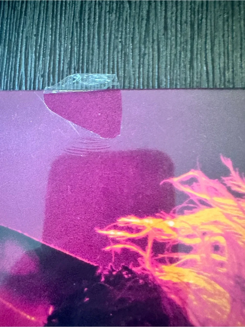 Limited Release NWT Shakira Live From Paris RSD Vinyl